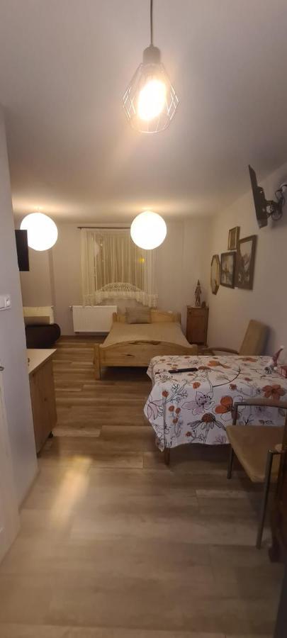 Apartamenty W Starym Kinie Swieradow-Zdroj Luaran gambar