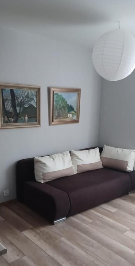 Apartamenty W Starym Kinie Swieradow-Zdroj Luaran gambar